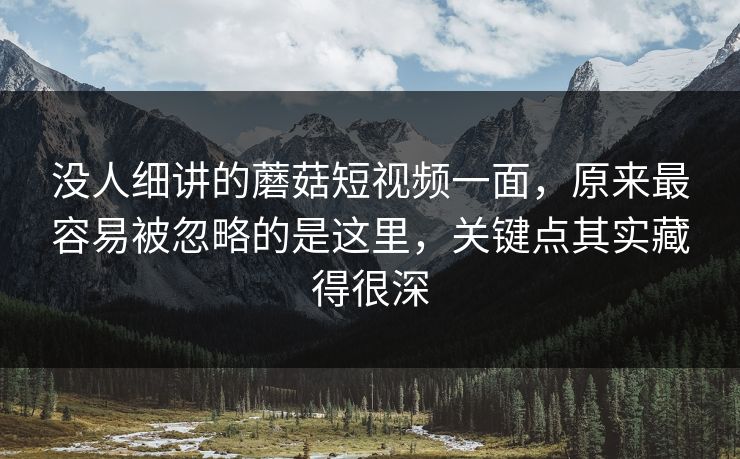 没人细讲的蘑菇短视频一面，原来最容易被忽略的是这里，关键点其实藏得很深