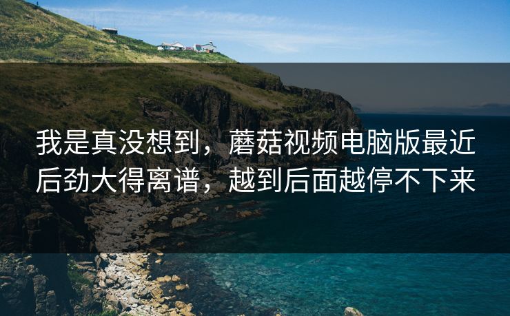 我是真没想到，蘑菇视频电脑版最近后劲大得离谱，越到后面越停不下来