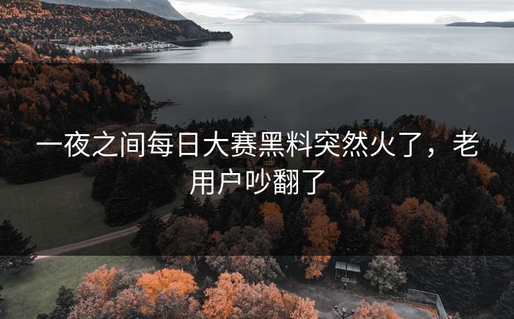一夜之间每日大赛黑料突然火了，老用户吵翻了
