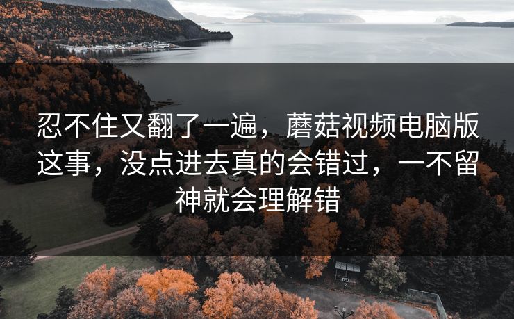 忍不住又翻了一遍，蘑菇视频电脑版这事，没点进去真的会错过，一不留神就会理解错