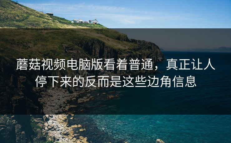 蘑菇视频电脑版看着普通，真正让人停下来的反而是这些边角信息
