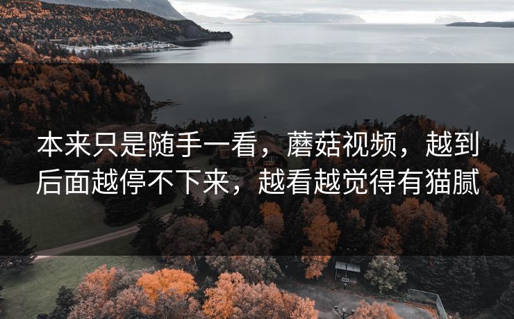 本来只是随手一看，蘑菇视频，越到后面越停不下来，越看越觉得有猫腻