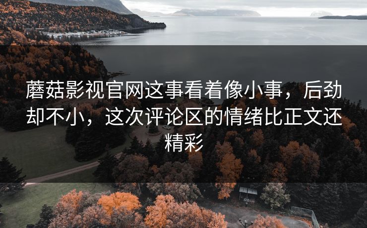 蘑菇影视官网这事看着像小事，后劲却不小，这次评论区的情绪比正文还精彩