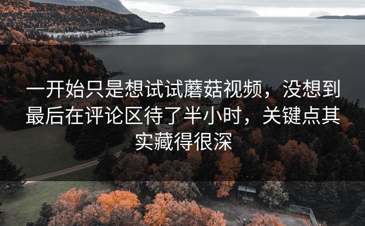 一开始只是想试试蘑菇视频，没想到最后在评论区待了半小时，关键点其实藏得很深