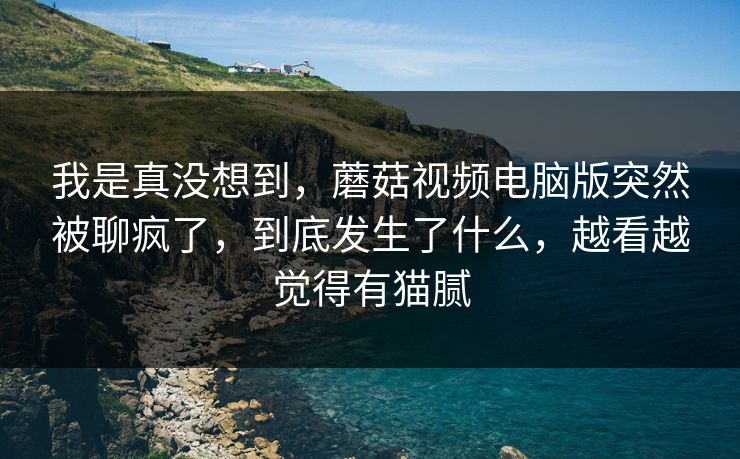 我是真没想到，蘑菇视频电脑版突然被聊疯了，到底发生了什么，越看越觉得有猫腻