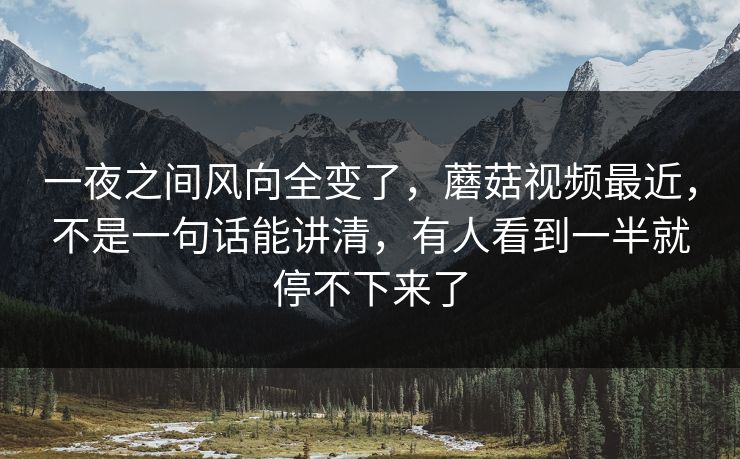 一夜之间风向全变了,蘑菇视频最近,不是一句话能讲清,有人看到一半就停不下来了 一夜之间风向全变了,蘑菇视频最近,不是一句话能讲清,有人看到一半就停不下来了