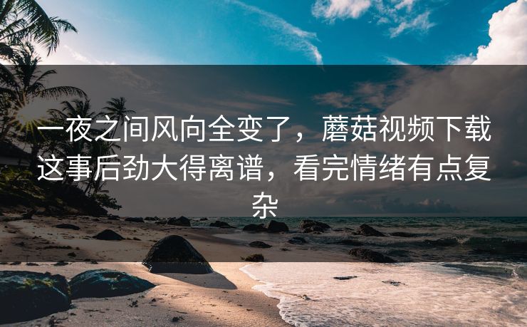 一夜之间风向全变了，蘑菇视频下载这事后劲大得离谱，看完情绪有点复杂