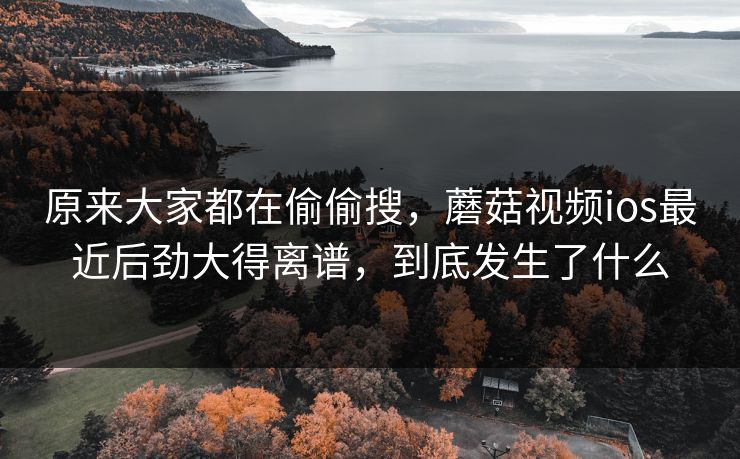 原来大家都在偷偷搜，蘑菇视频ios最近后劲大得离谱，到底发生了什么