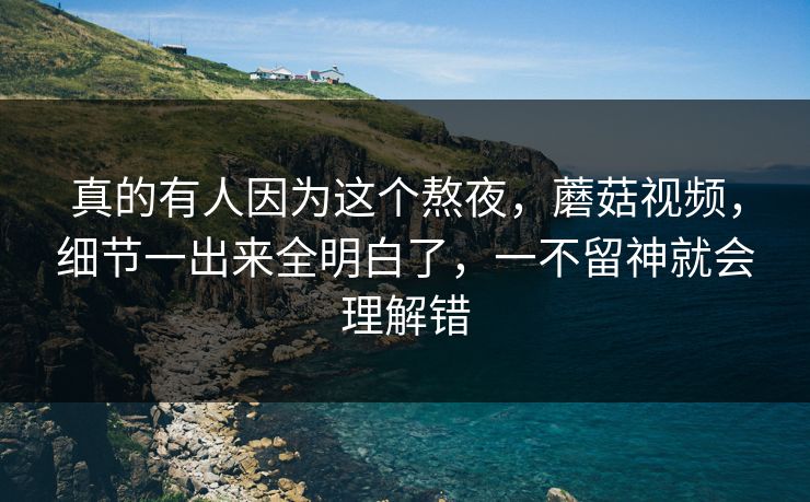 真的有人因为这个熬夜，蘑菇视频，细节一出来全明白了，一不留神就会理解错