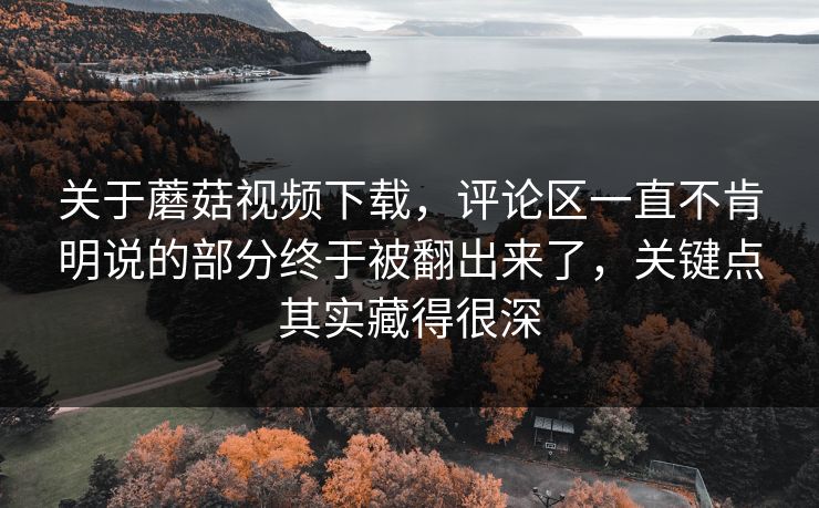 关于蘑菇视频下载，评论区一直不肯明说的部分终于被翻出来了，关键点其实藏得很深