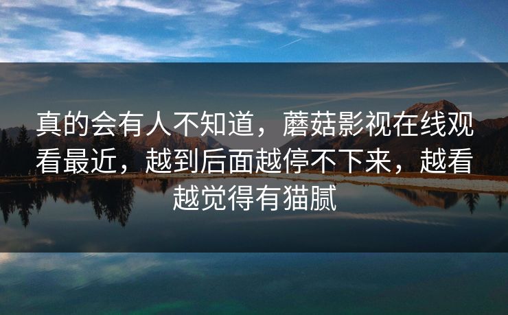 真的会有人不知道，蘑菇影视在线观看最近，越到后面越停不下来，越看越觉得有猫腻
