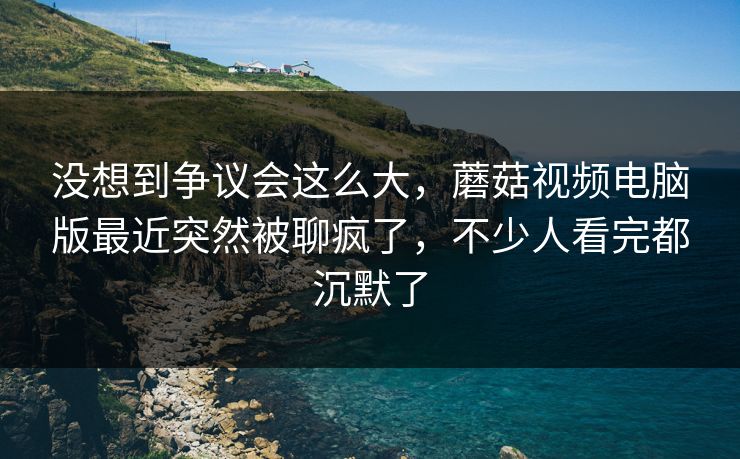 没想到争议会这么大，蘑菇视频电脑版最近突然被聊疯了，不少人看完都沉默了