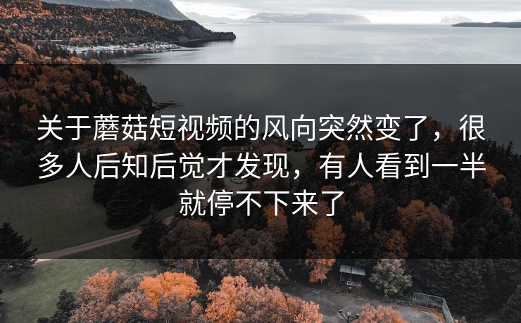关于蘑菇短视频的风向突然变了，很多人后知后觉才发现，有人看到一半就停不下来了