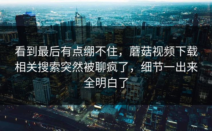看到最后有点绷不住，蘑菇视频下载相关搜索突然被聊疯了，细节一出来全明白了