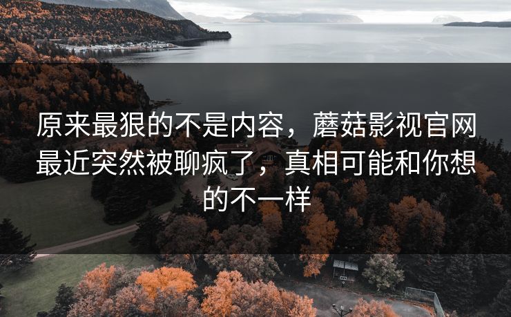 原来最狠的不是内容，蘑菇影视官网最近突然被聊疯了，真相可能和你想的不一样
